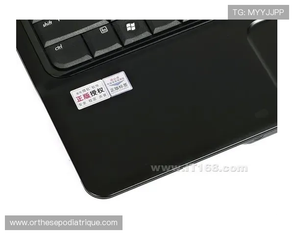 pa电子电脑版官方下载渠道推荐,确保软件正版与安全保障 pa电子电脑版官方下载渠道推荐,确保软件正版与安全保障