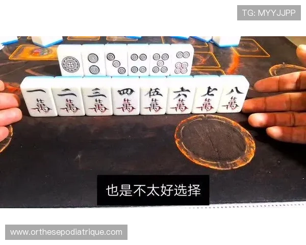 下载麻将大全电子书免费版，助你快速提升麻将技巧与实战经验