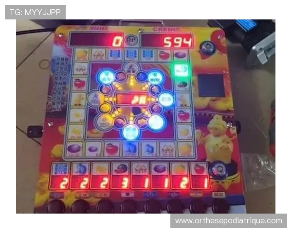 丰富多样的幸运水果机单机免费游戏资源，满足不同玩家的娱乐需求