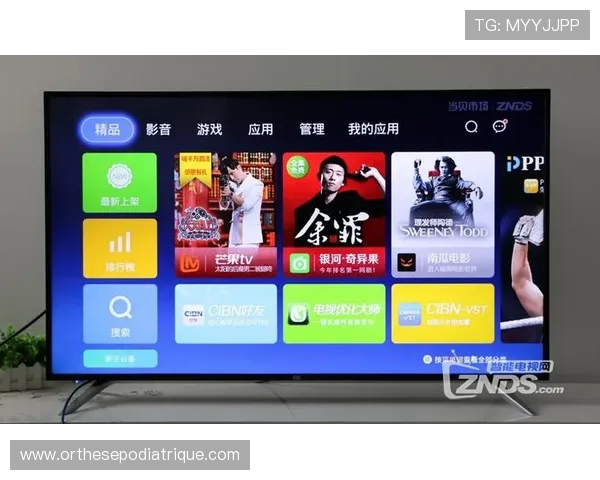 全面解析老虎机网站查询方法让玩家轻松识别正规平台与非法网站